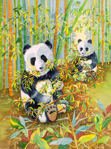 Pandas