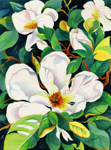 Magnolia