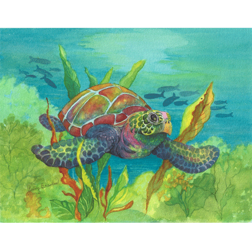 Sea Turtle